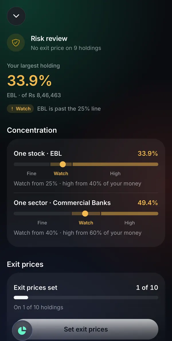 Punji app Risk review: the largest holding, one stock and one sector on a Fine, Watch and High scale, and exit prices set