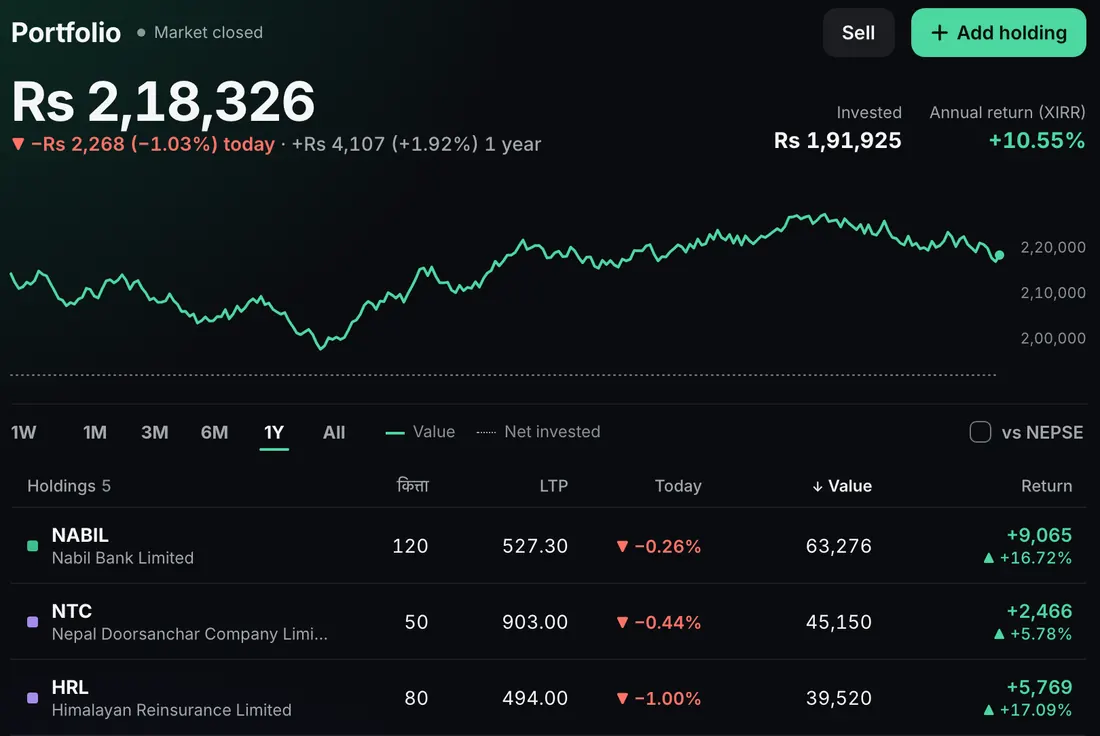 Punji web portfolio: value, a year of performance and five holdings with their return, sample data