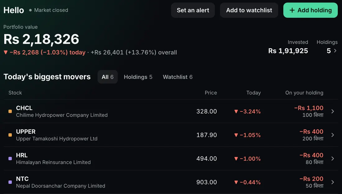 Punji web overview: portfolio value and the day’s biggest movers in your holdings, sample data